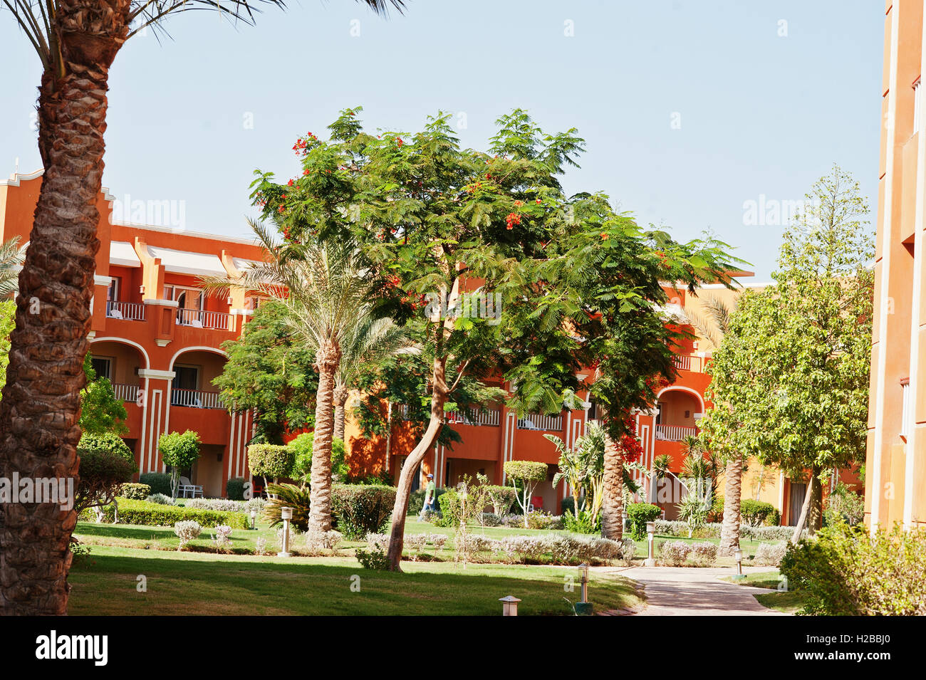 Different trees and bushes on garden of resort Stock Photo Alamy