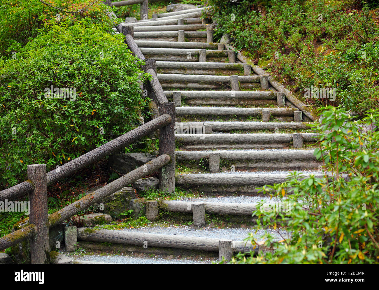 Stairs of wooden footbridge hi-res stock photography and images - Alamy