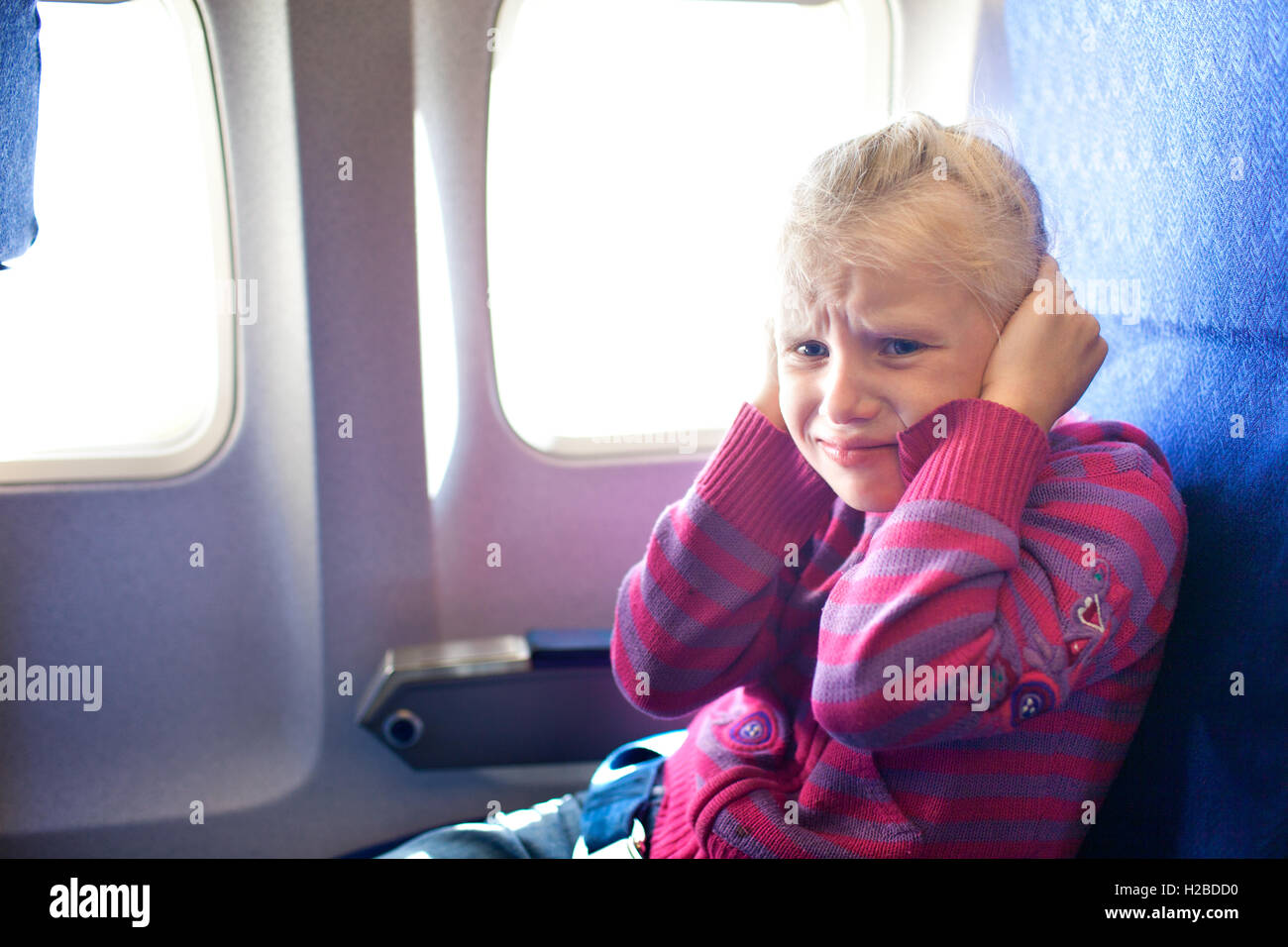 Do Dogs Ears Pop In An Airplane