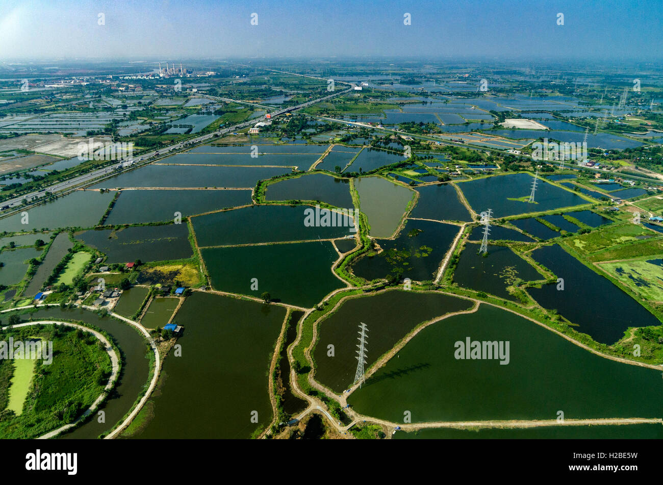 Farmland rice fields under the water in Thailand Aerial photo Stock Photo