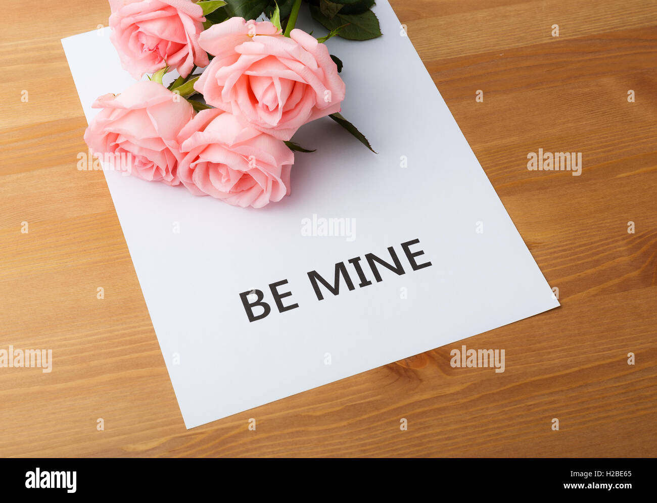 Pink rose for valentine day Stock Photo Alamy