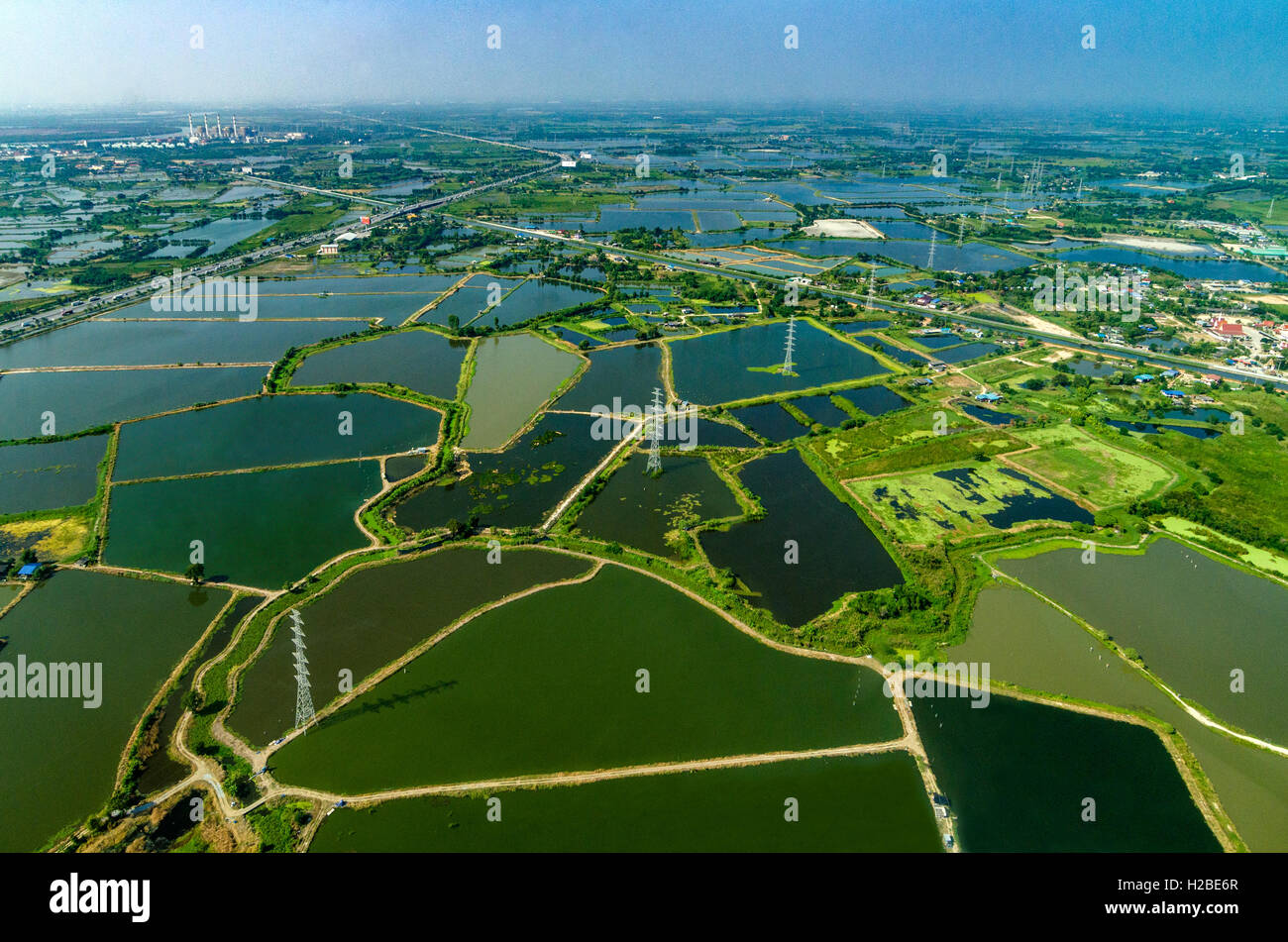 Aerial photo farmland rice fields under the water in Thailand Stock Photo