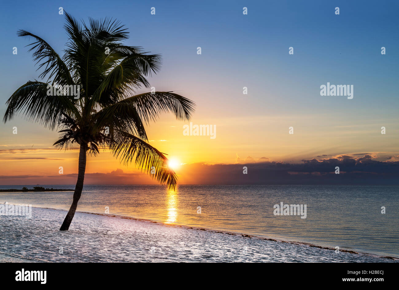 Sunset on the beach Stock Photo - Alamy