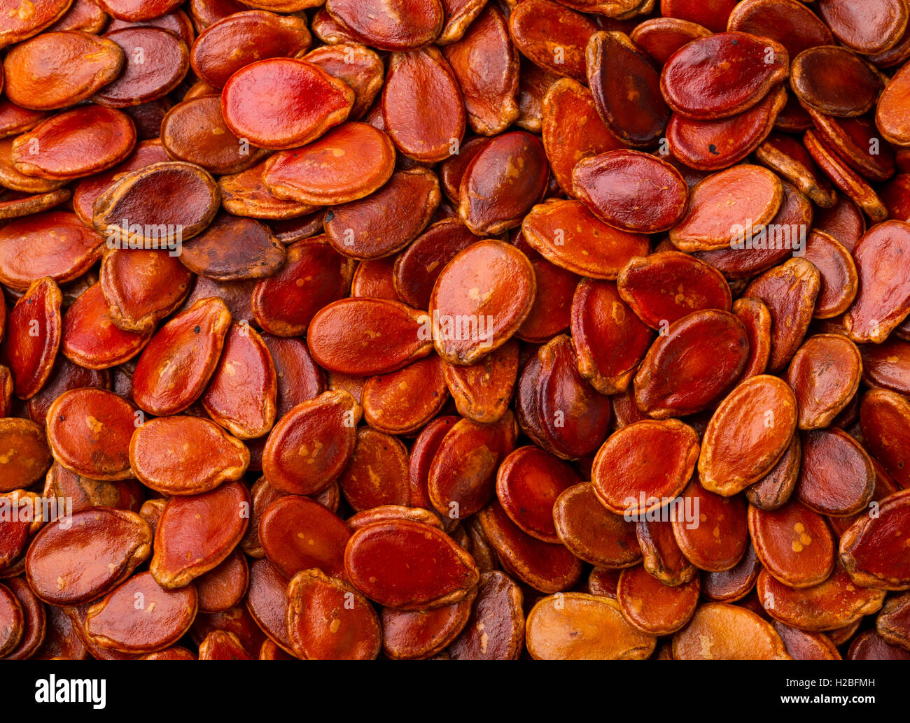 Red melon seed Stock Photo Alamy