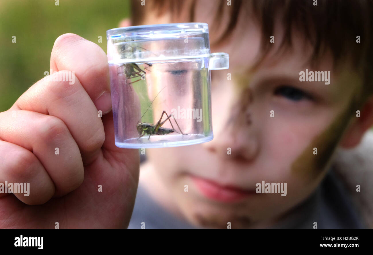 Bug collector- this camouflaged child gets a close-up view of a couple of grasshoppers, using an insect viewer. Learning. Stock Photo
