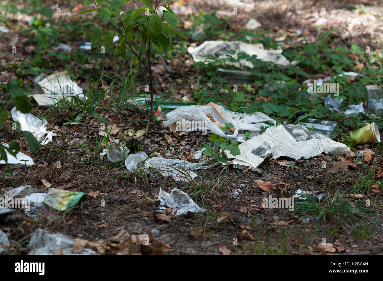 garbage dump in the woods problems of ecology Stock Photo