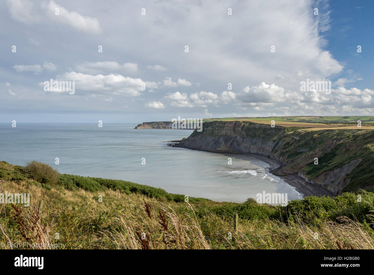 Landslide at Port Mulgrave near Staithes in North Yorkshire Stock Photo