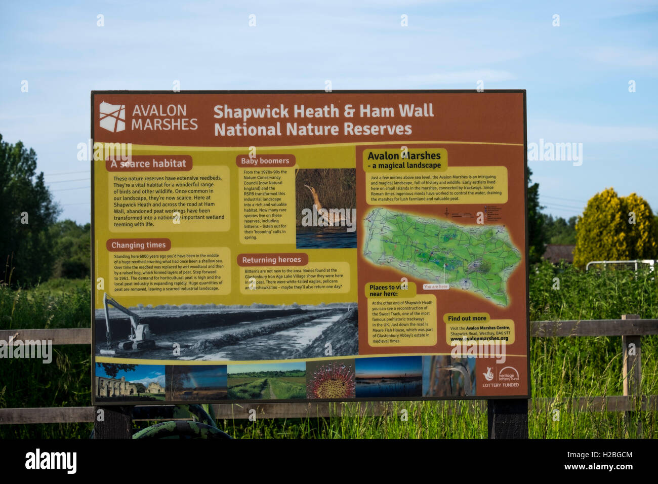 Information sign,Shapwick Heath and Ham Wall National Nature Reserves, part of Avalon Marshes, Somerset Levels, England, UK Stock Photo
