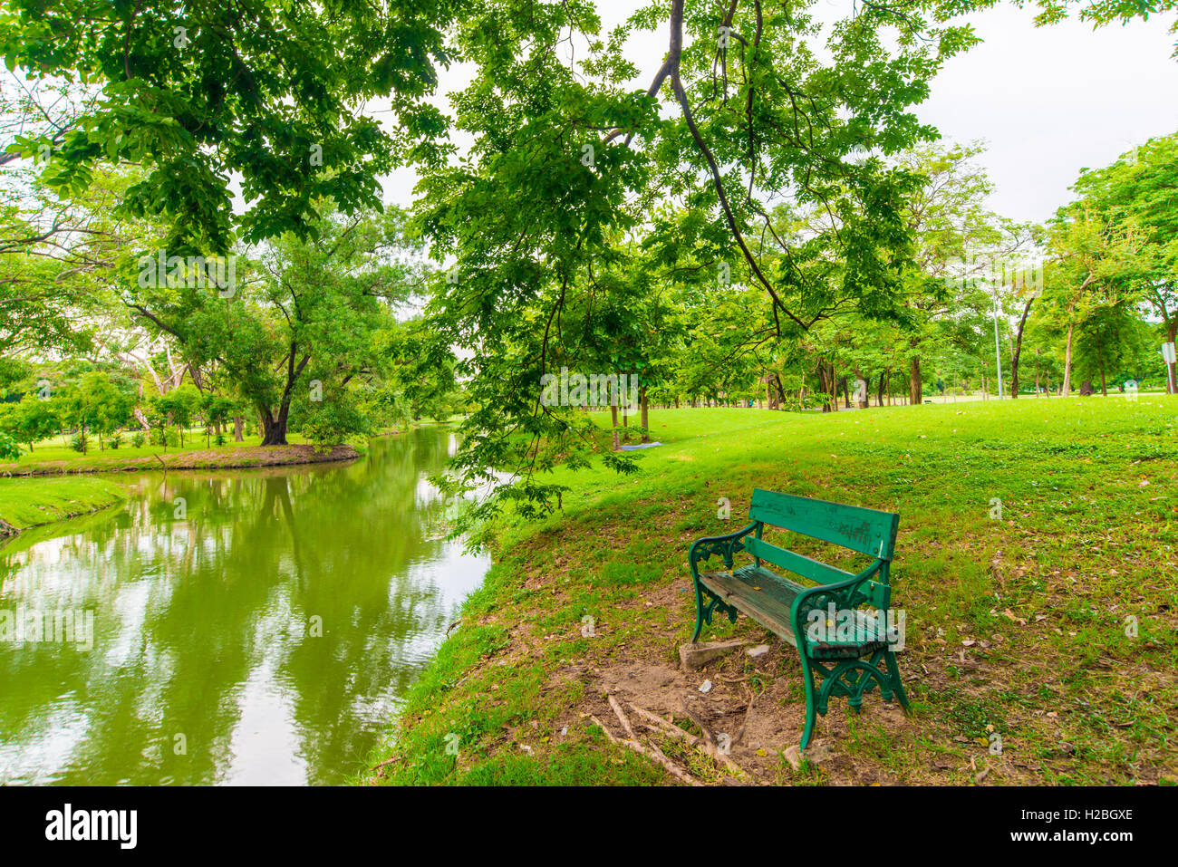 Green lawn with tree in city park, Beautiful park in evening for