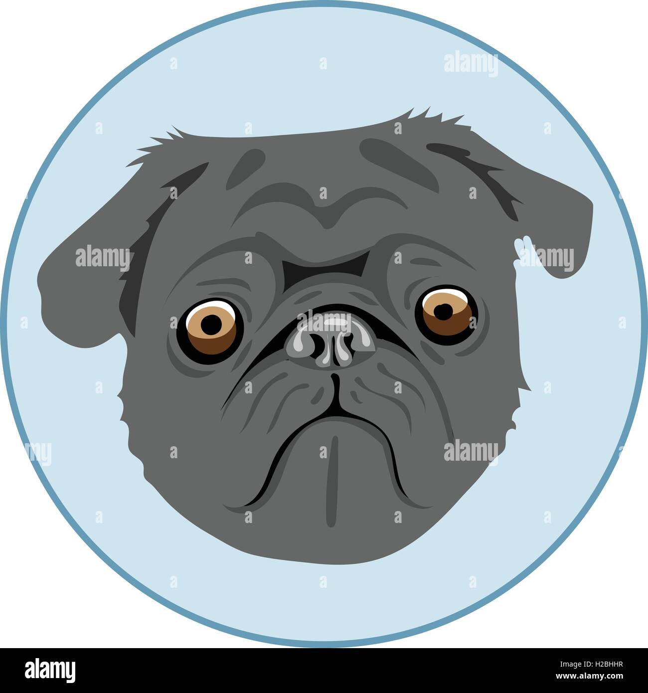 Digital vector pug dog face, in blue circle, flat style Stock Vector