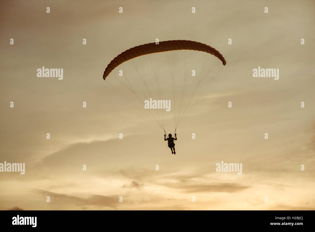 Paraglider flies on background of the sky Stock Photo