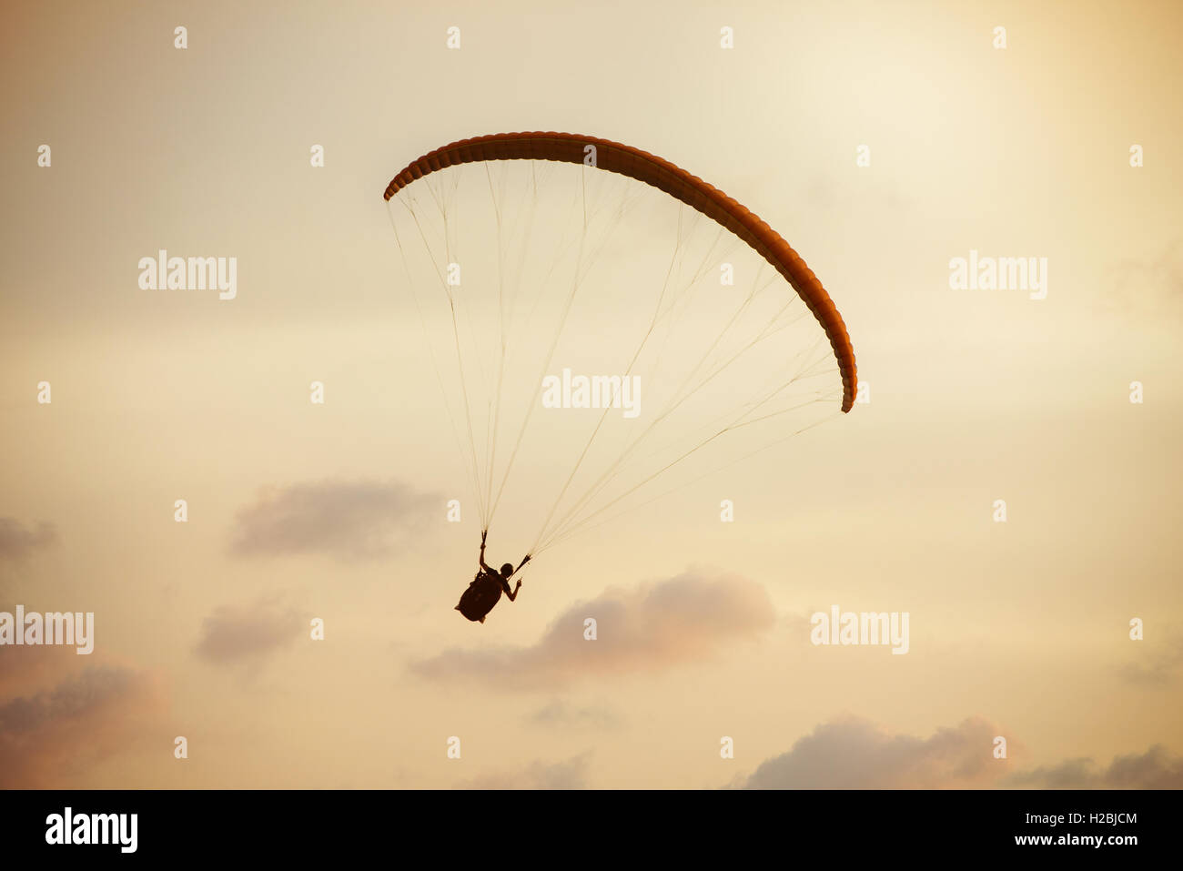 Paraglider flies on background of the sea Stock Photo