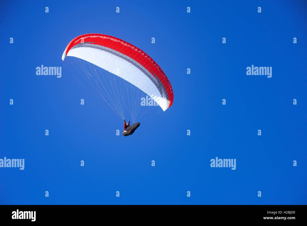 Skydiver flies in the blue sky Stock Photo