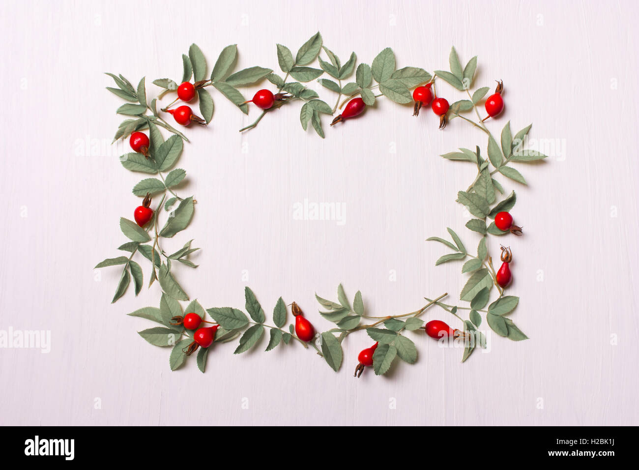 The square frame with leaves and red flowers, berries. top view. Stock Photo