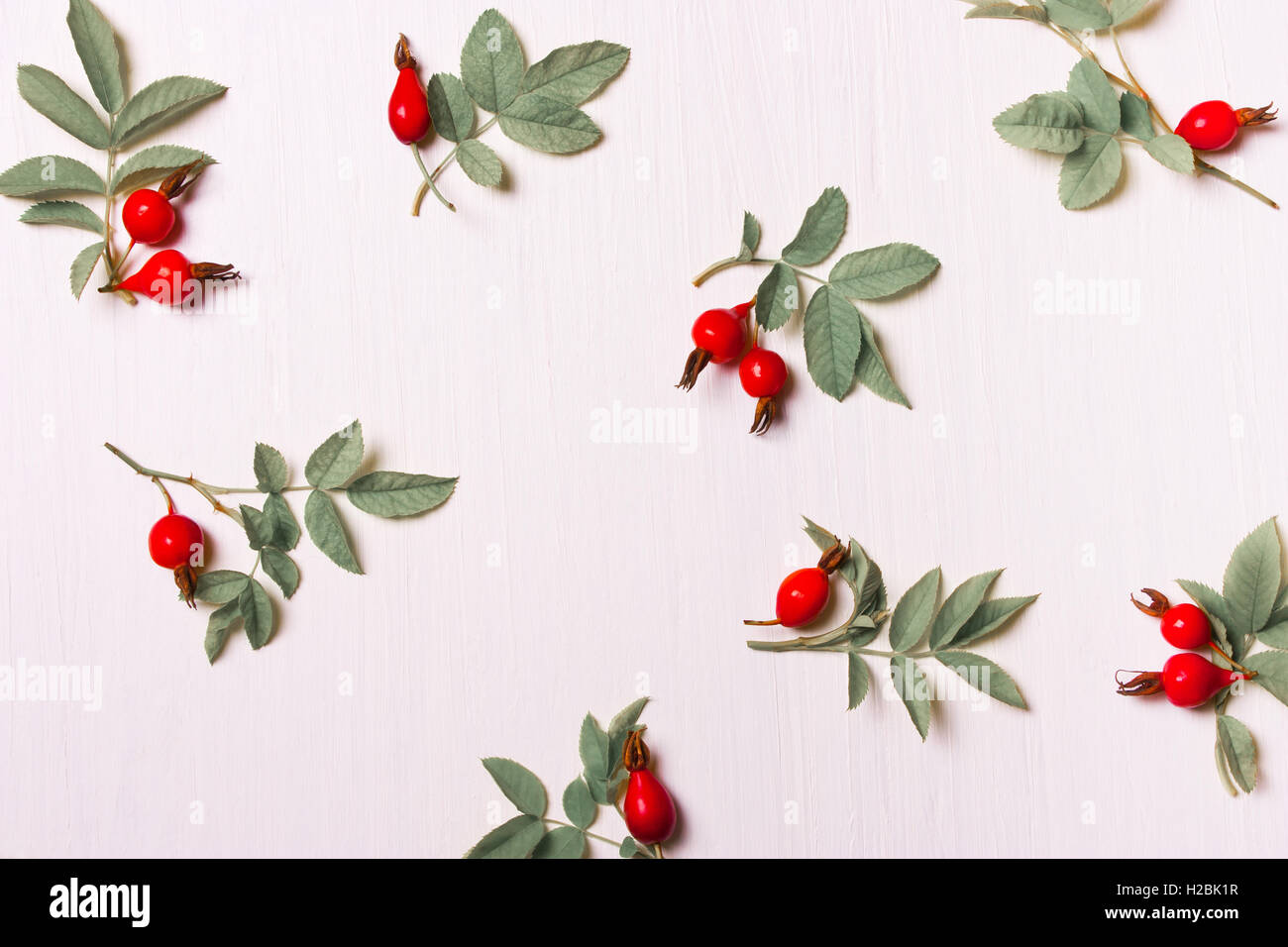 pattern, composition of red flowers, berries and green leaves on a white background.Flat lay, top view. Stock Photo