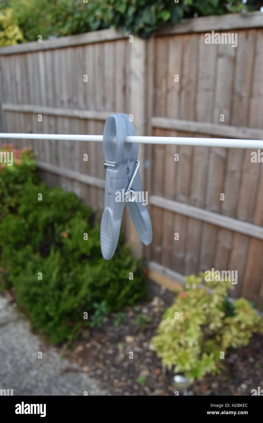 Clothes peg on a washing line Stock Photo Alamy