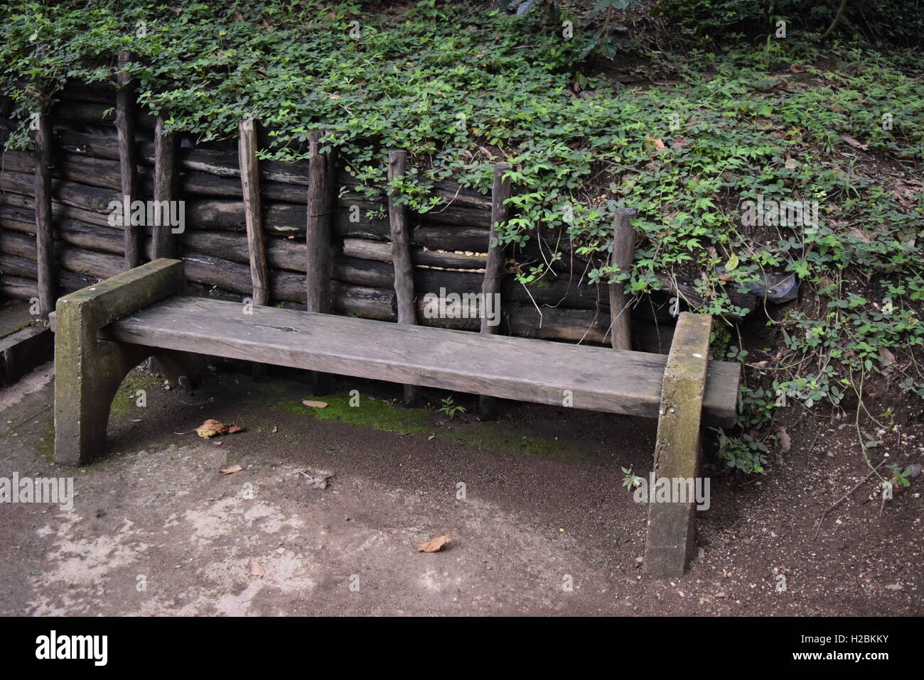 Stone And Wooden Bench In A Forest In A Forest In Antigua