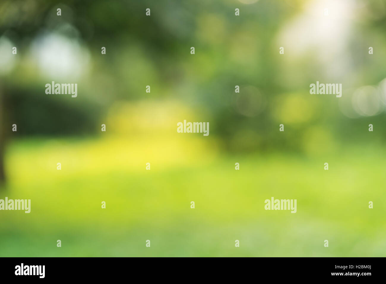 park summer blur bokeh background Stock Photo - Alamy