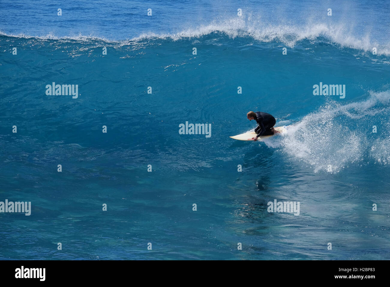 In the Surf - The Atlantic