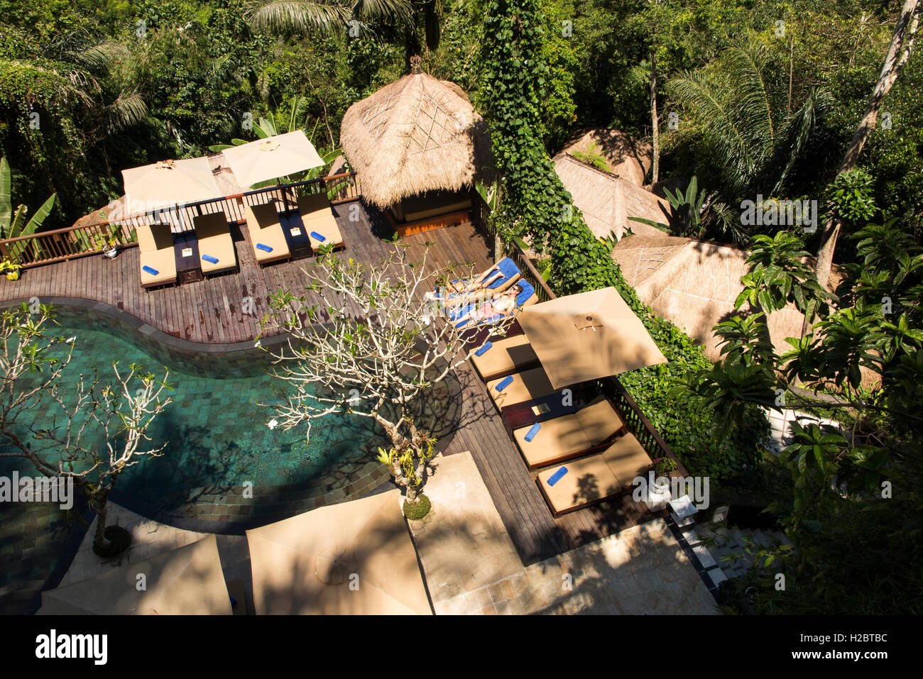 Indonesia, Bali, Susut, Payangan, Nandini Jungle Resort and Spa hotel  swimming pool, elevated view Stock Photo - Alamy