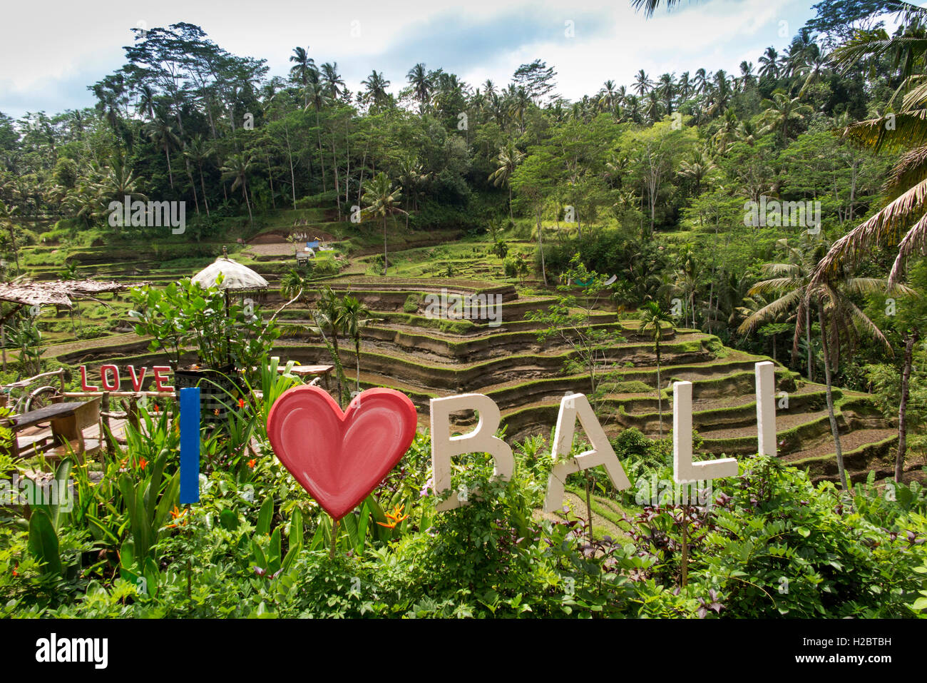 Indonesia, Bali, Tegallang, I love (heart) Bali sign in cafe garden opposite rice terraces Stock Photo