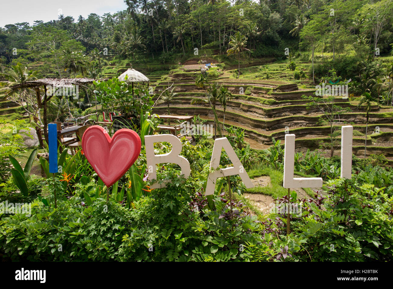 Indonesia, Bali, Tegallang, I love (heart) Bali sign in cafe garden opposite rice terraces Stock Photo