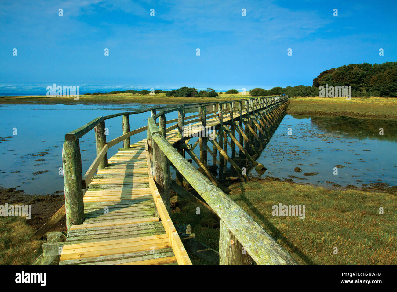 Aberlady Local Nature Reserve, Aberlady Bay, Aberlady, East Lothian Stock Photo