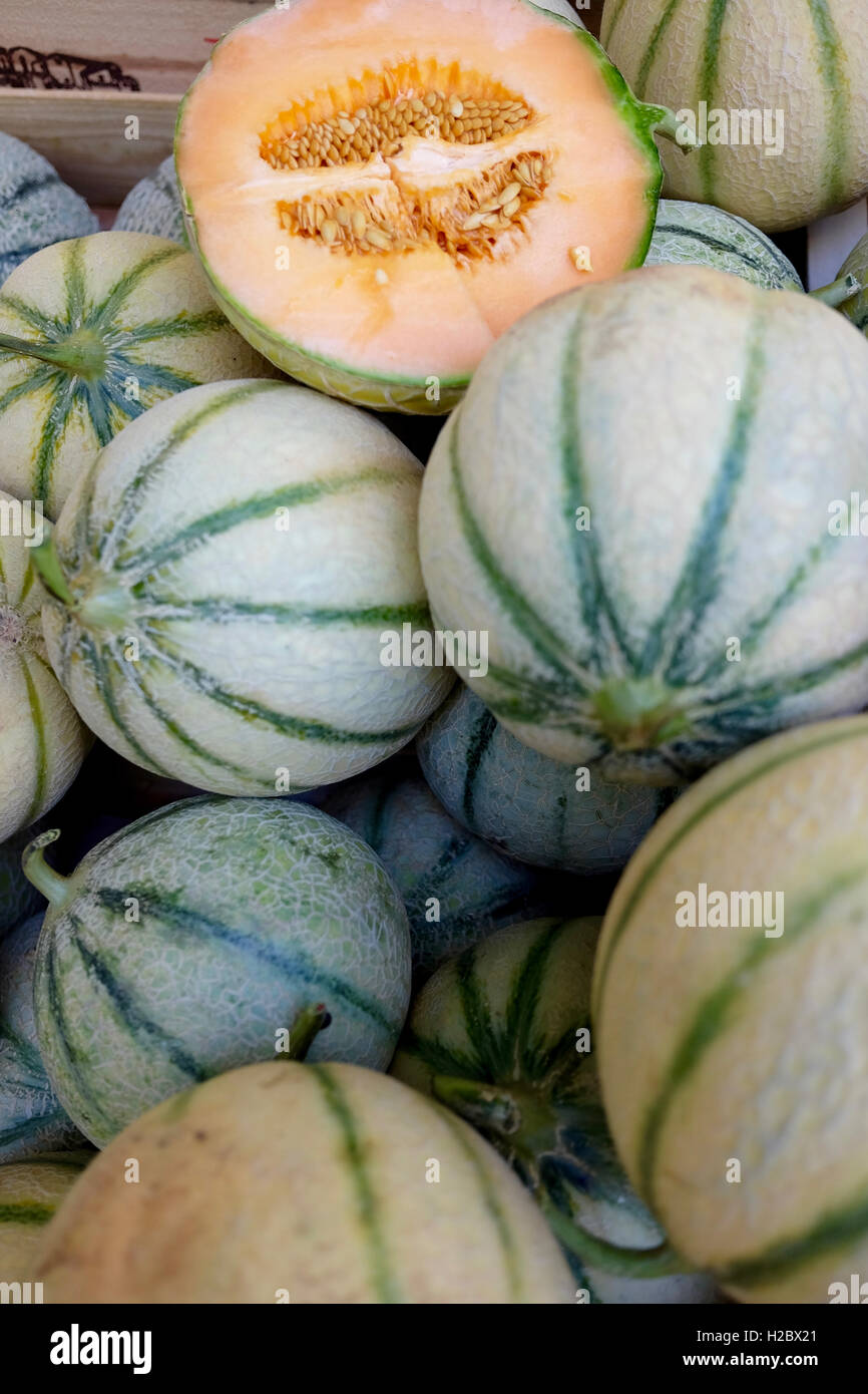Muskmelons for sale at local market Stock Photo Alamy