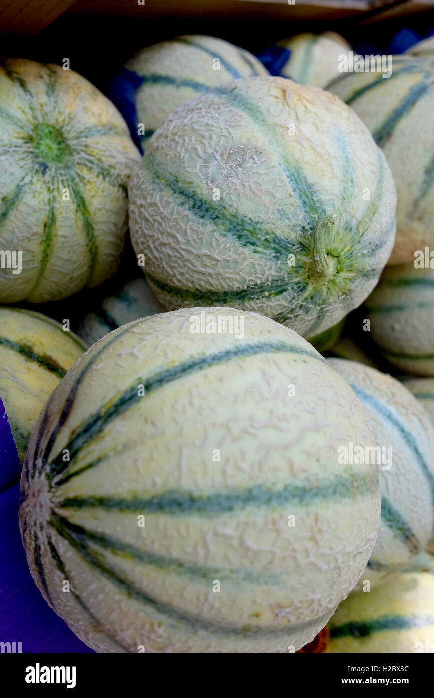 Muskmelons for sale at local market Stock Photo Alamy