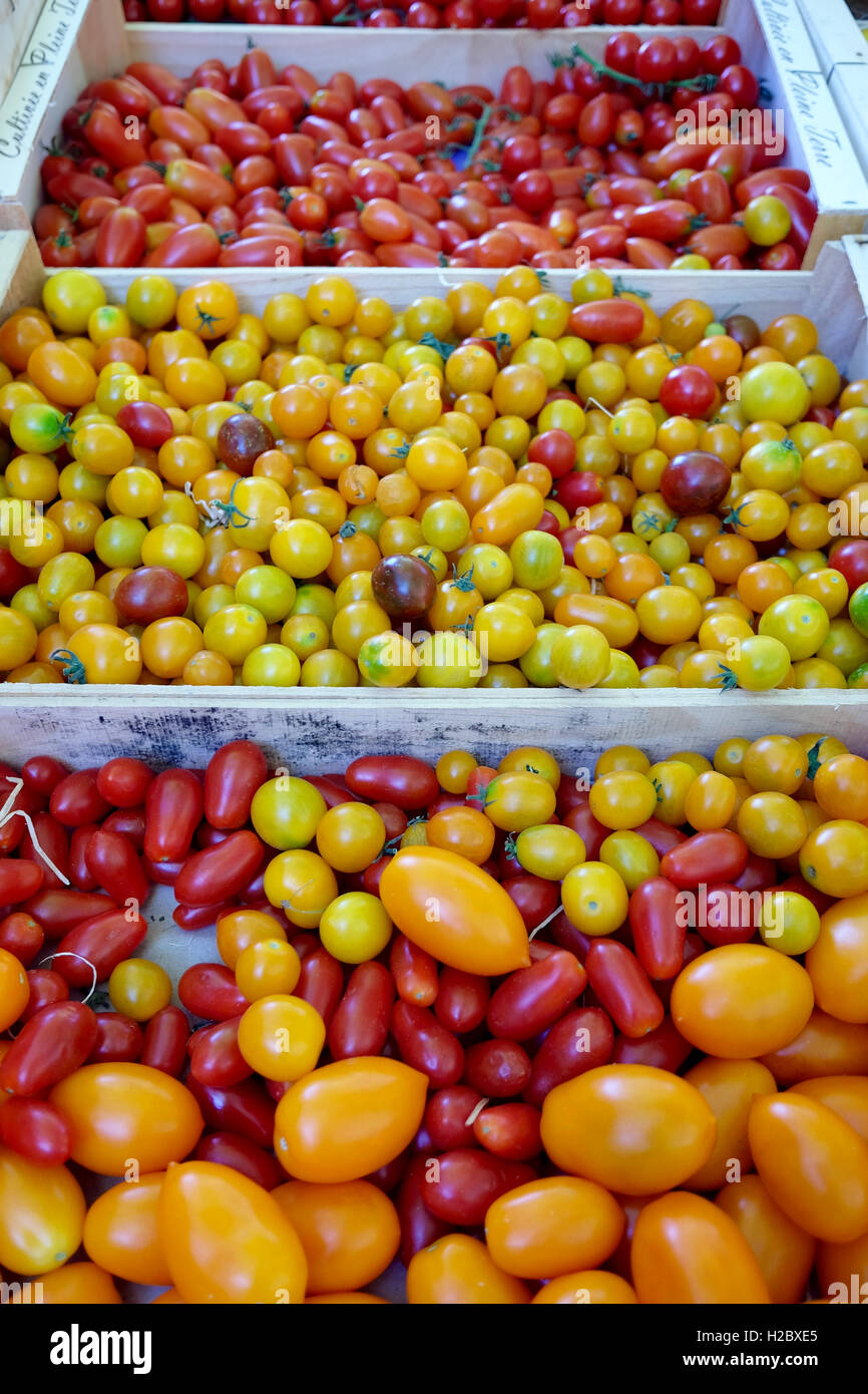 Tomatoes for sale at farm market hi-res stock photography and images ...