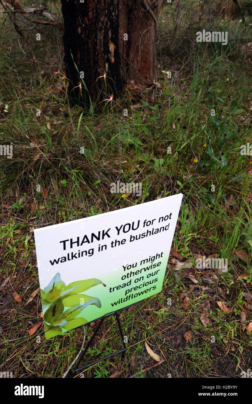 Sign thanking people for not treading on the spring wildflowers (with tiny spider orchids visible in background), Wireless Hill Stock Photo