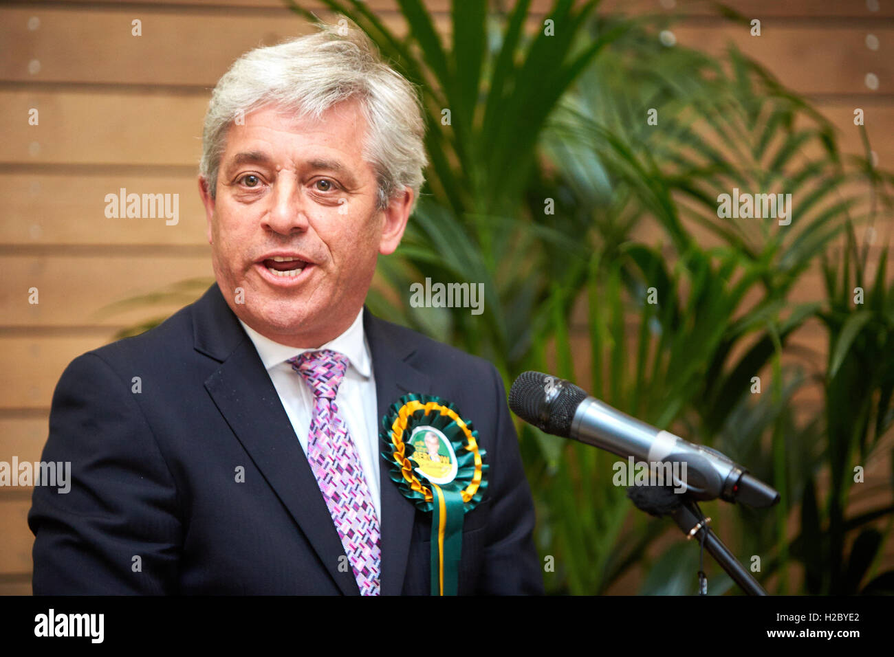 John Bercow (L) speaks after winning the Buckingham constituency in the 2015 general election Stock Photo