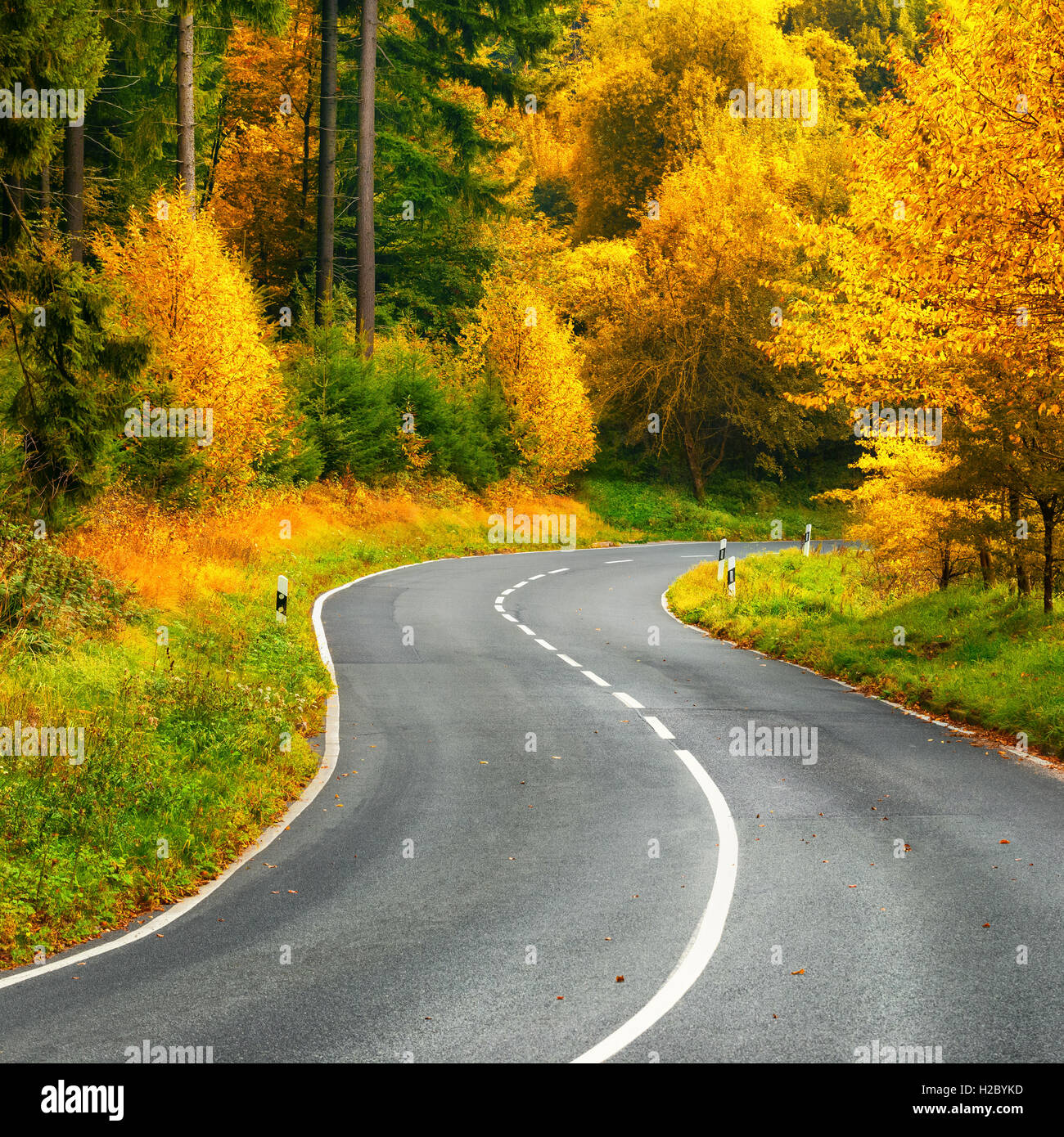 Landscape shot with a scenic road bend in a colorful autumn forest Stock Photo