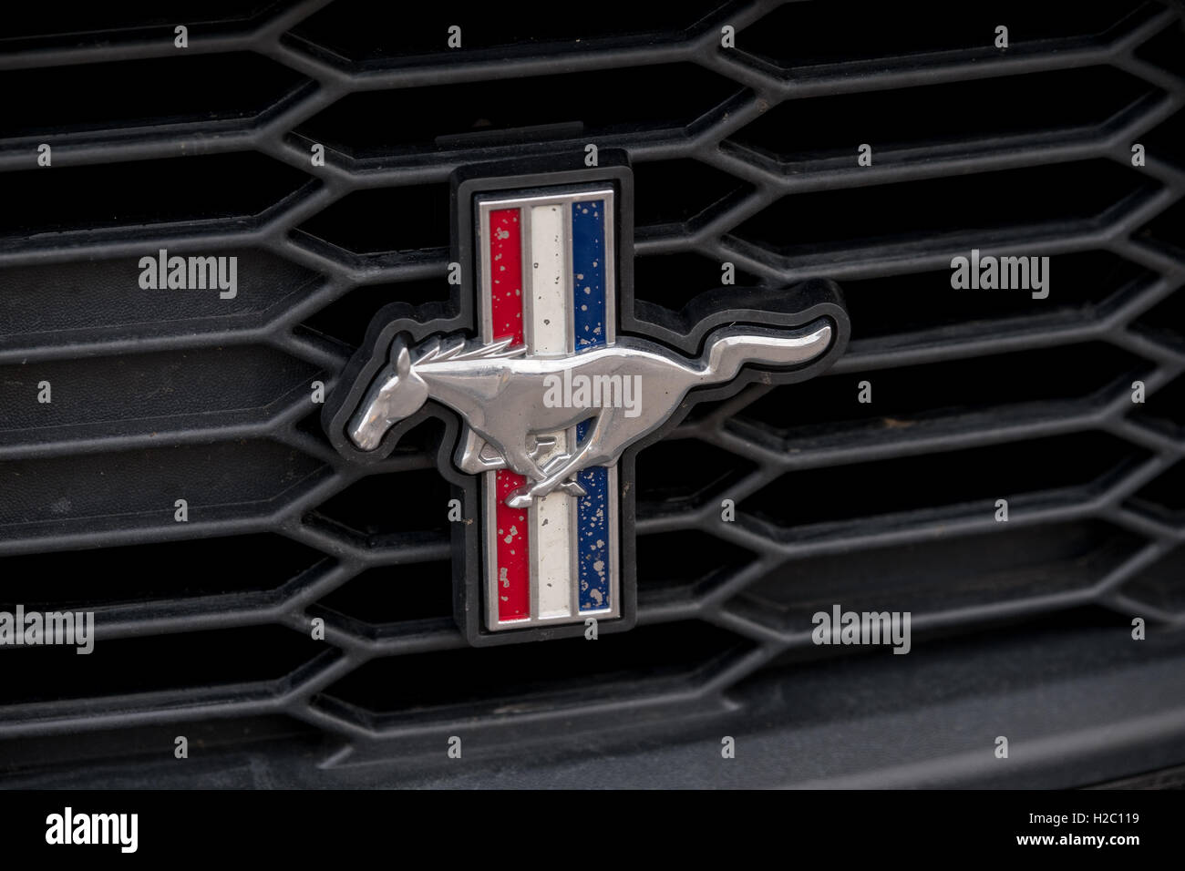 Ford Mustang car logo on the retro hood Stock Photo Alamy