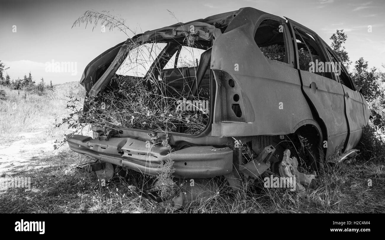 Abandoned rusted car body with growing grass inside, old style filter effect, monochrome retro photo Stock Photo