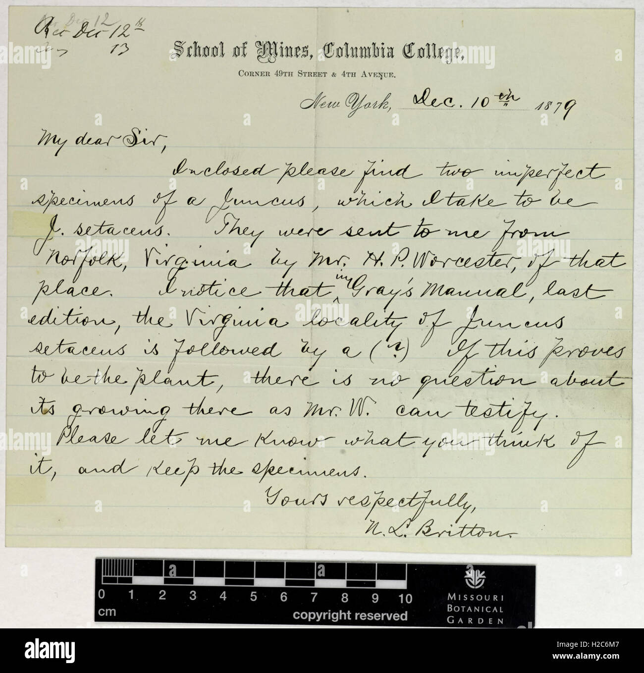 Correspondence - Britton (Nathaniel) and Engelmann (George) (Dec 10, 1879 (1)) Stock Photo