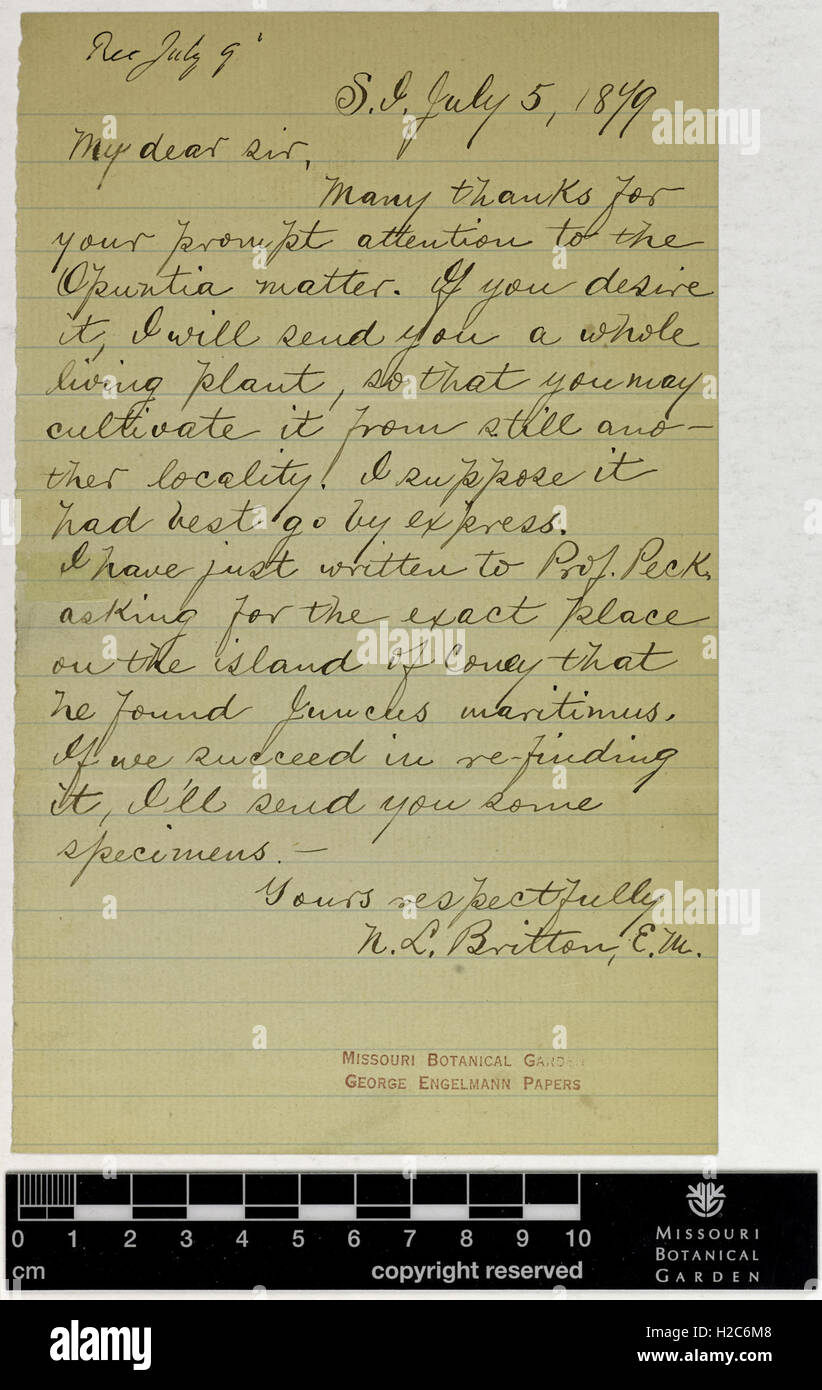 Correspondence - Britton (Nathaniel) and Engelmann (George) (Jul 05, 1879 (1)) Stock Photo