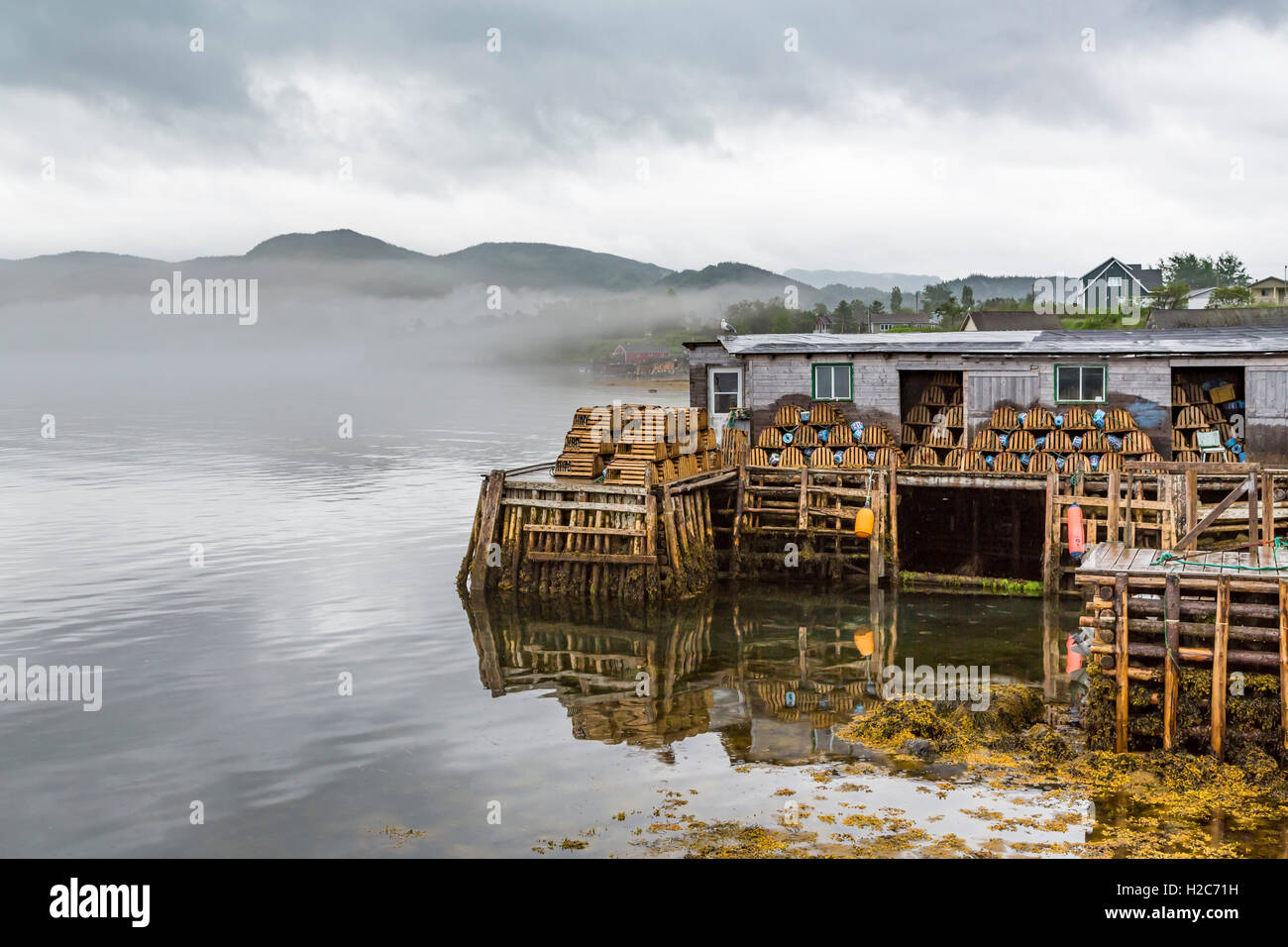 A fishing wharf and lobster traps at Curzon Village, Newfoundland and Labrador, Canada. Stock Photo