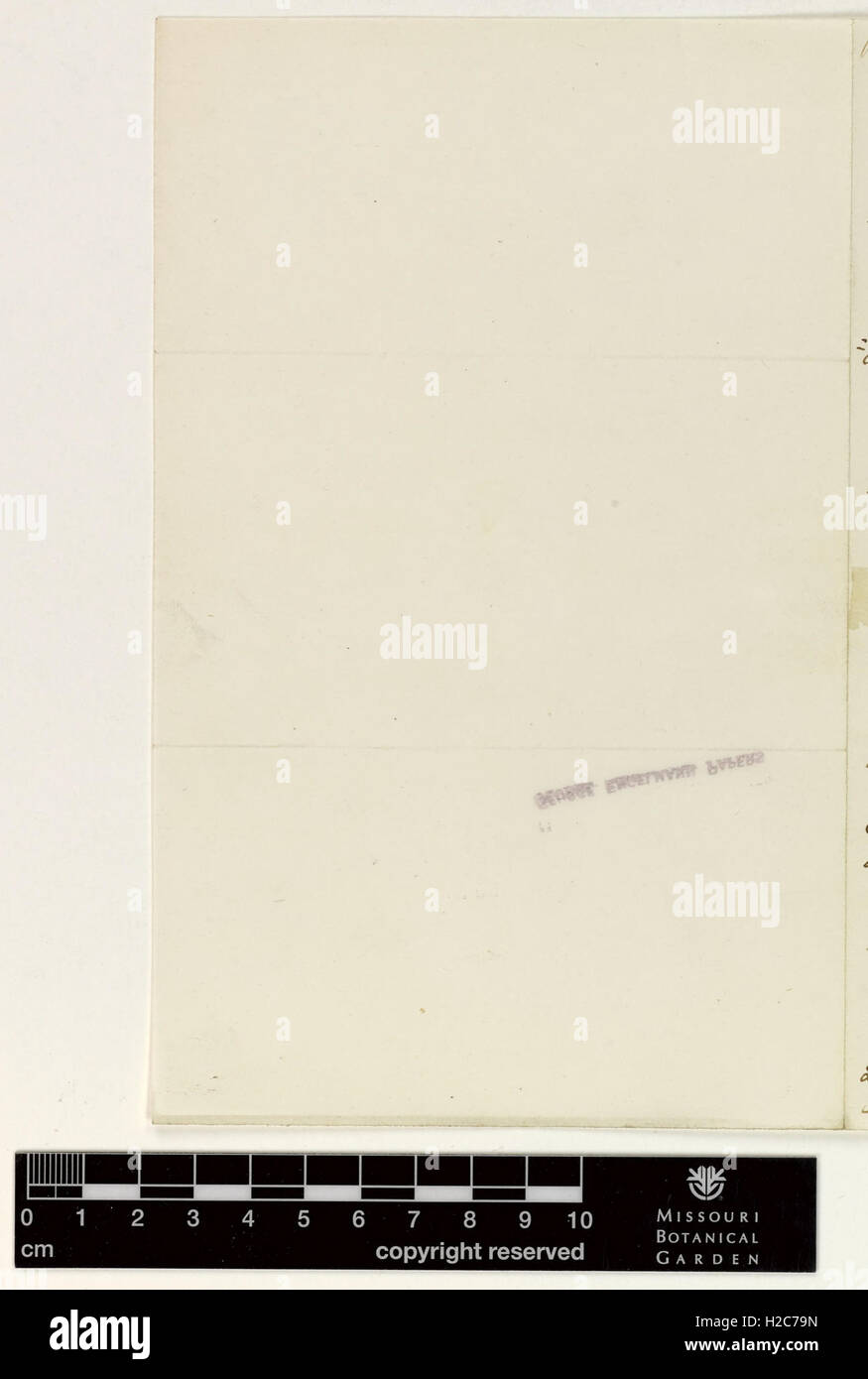 Correspondence - Darlington (William) and Engelmann (George) (Oct 27, 1851 (2) verso) Stock Photo
