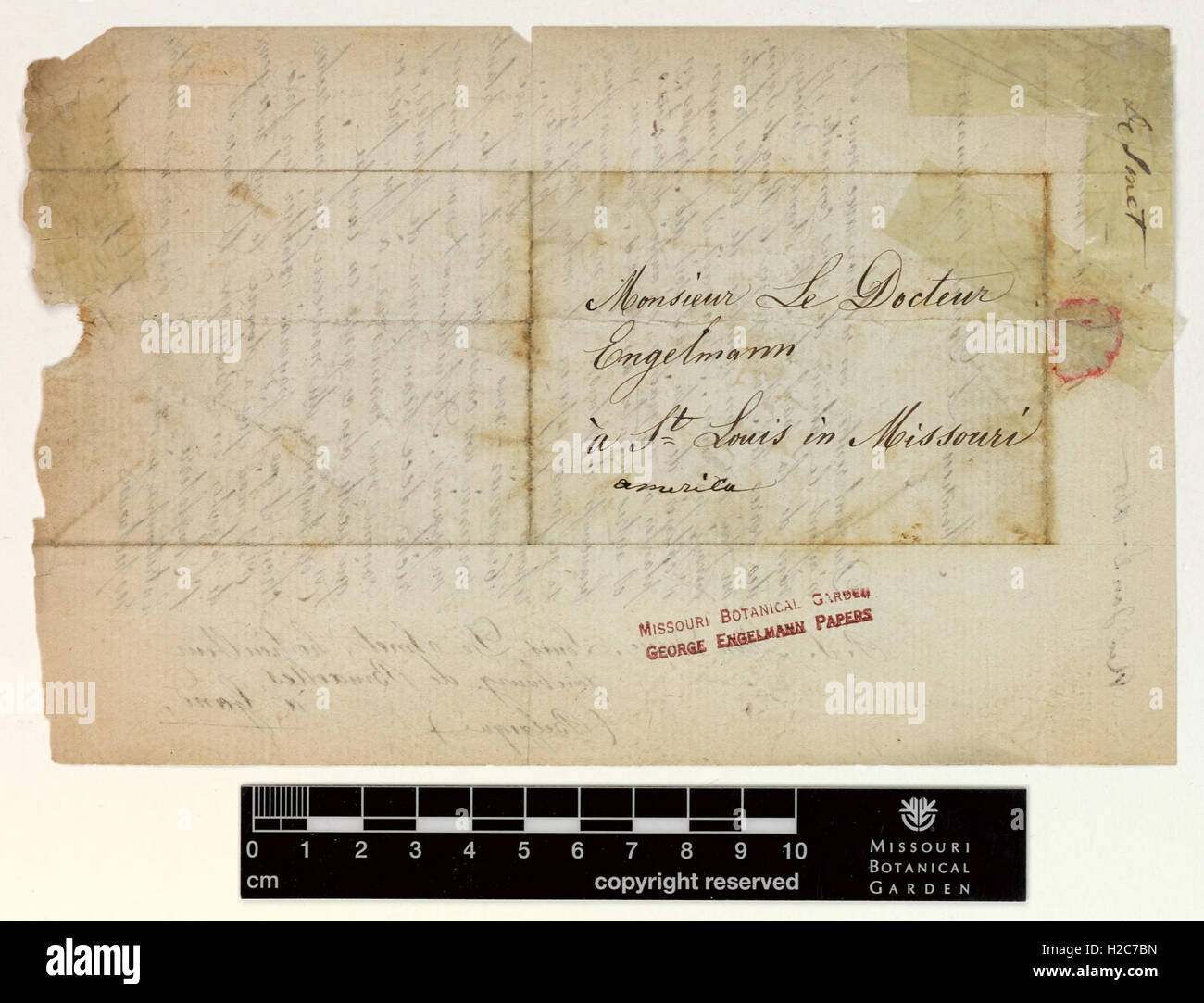 Correspondence - De Smet (Louis) and Engelmann (George) (Nov 30, 1864 (1) verso) Stock Photo