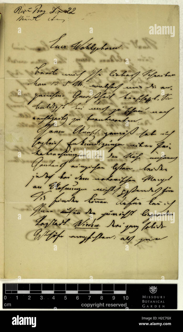 Correspondence - Fenzl (Eduard) and Engelmann (George) (Dec 20, 1857 (1)) Stock Photo