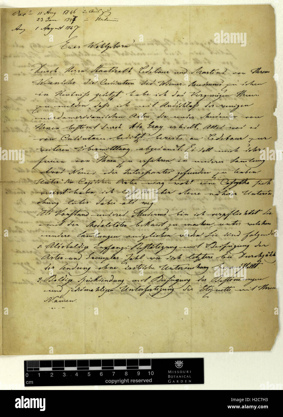 Correspondence - Fenzl (Eduard) and Engelmann (George) (Jun 24, 1846 (1)) Stock Photo