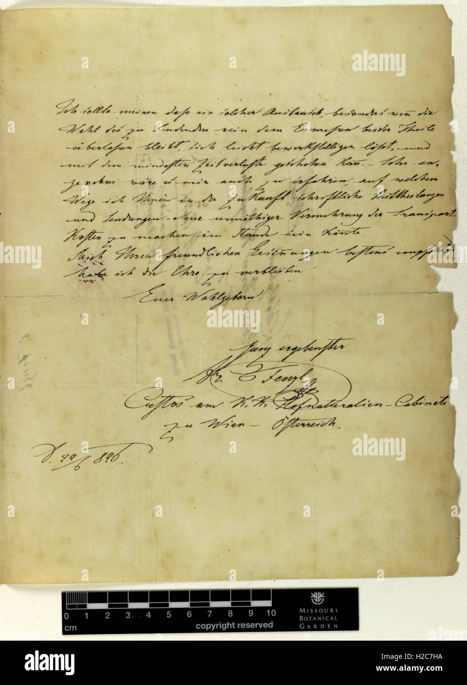 Correspondence - Fenzl (Eduard) and Engelmann (George) (Jun 24, 1846 (2)) Stock Photo