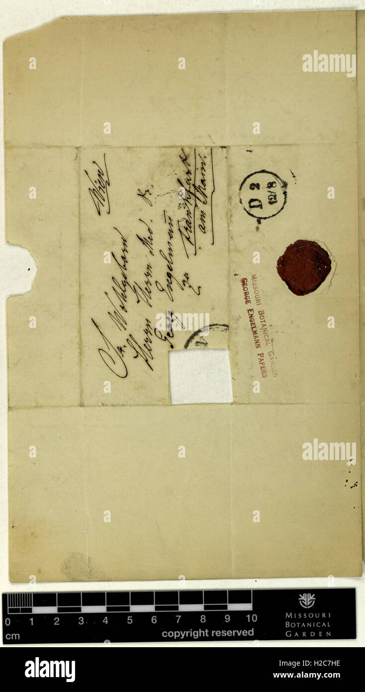 Correspondence - Fenzl (Eduard) and Engelmann (George) (Jun 24, 1846 (2) verso) Stock Photo