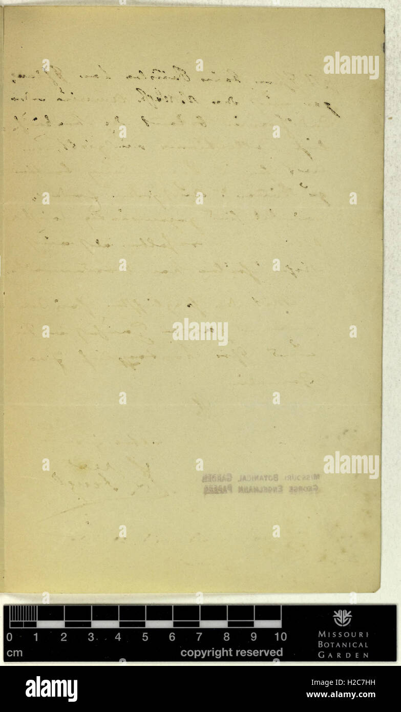 Correspondence - Fenzl (Eduard) and Engelmann (George) (Mar 24, 1872 (4)) Stock Photo