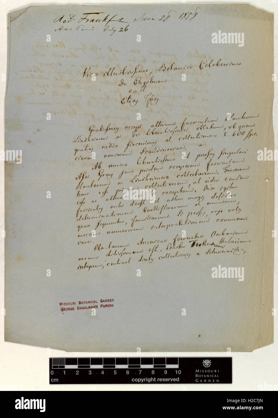 Correspondence - Fries (Elias) and Engelmann (George) (Jul 20, 1857 (1)) Stock Photo
