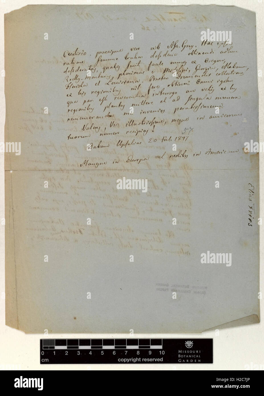 Correspondence - Fries (Elias) and Engelmann (George) (Jul 20, 1857 (1) verso) Stock Photo