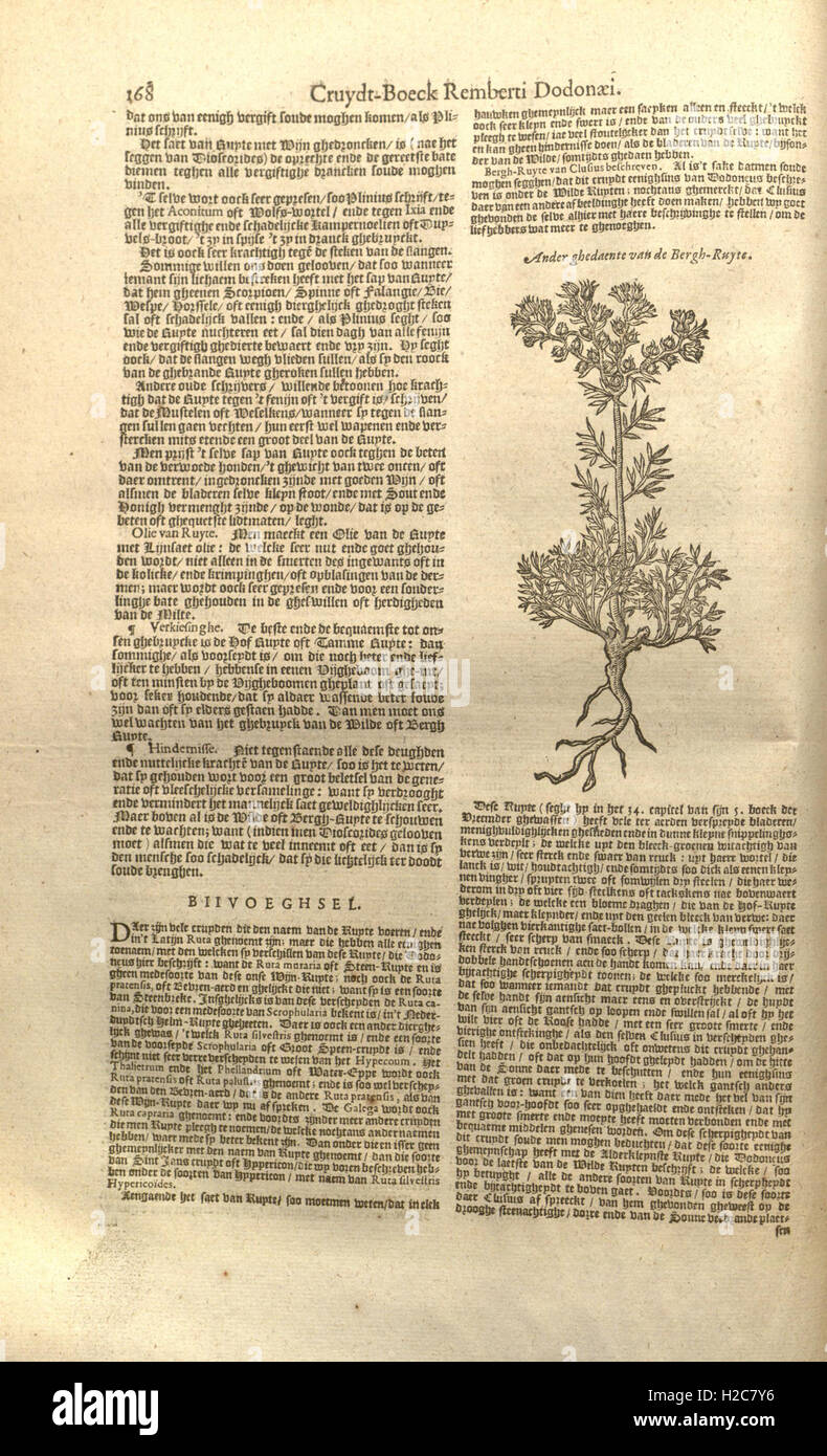This is a botanical work by Rembert Dodoens, offering the latest ...