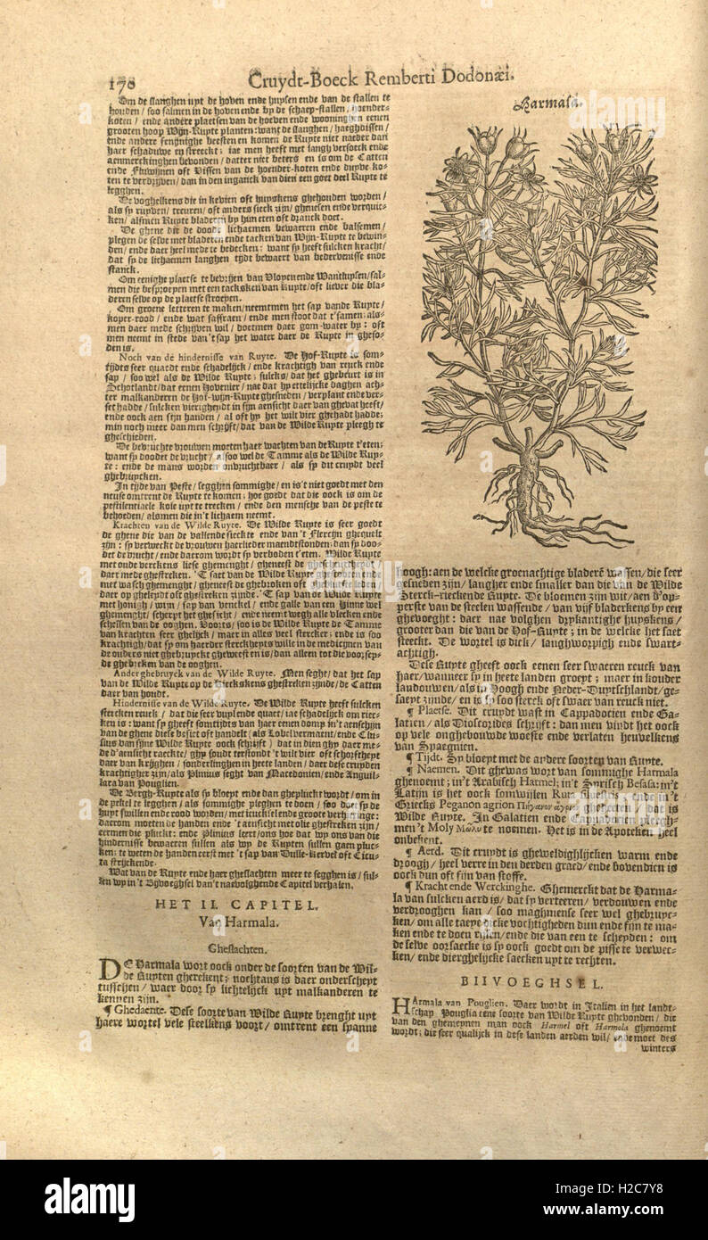 This work focuses on the medicinal plants described in Rembert Dodoens ...