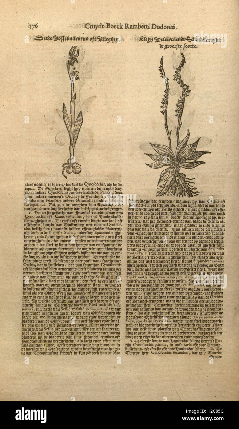 This botanical work by Rembert Dodoens presents the latest updates in ...